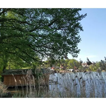 Large Haussee Modern Retreat בית נופש